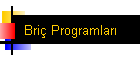 Bri Programlar