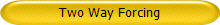 Two Way Forcing