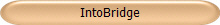 IntoBridge